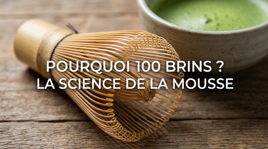 Brins de bambou d'un fouet matcha chasen 100 brins vus de près — Aoti Matcha