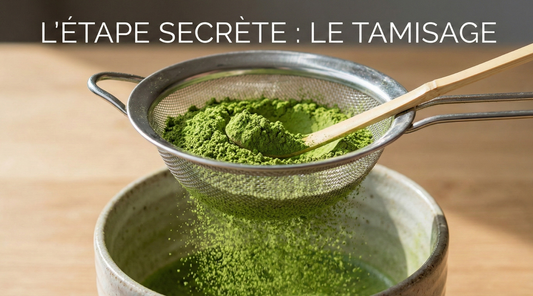 Poudre de matcha tamisée au tamis inox au-dessus d'un bol, cuillère chashaku en bambou — Aoti Matcha